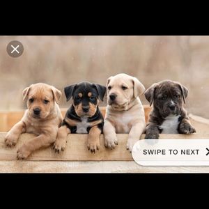 Meet your Posher, Katelyn